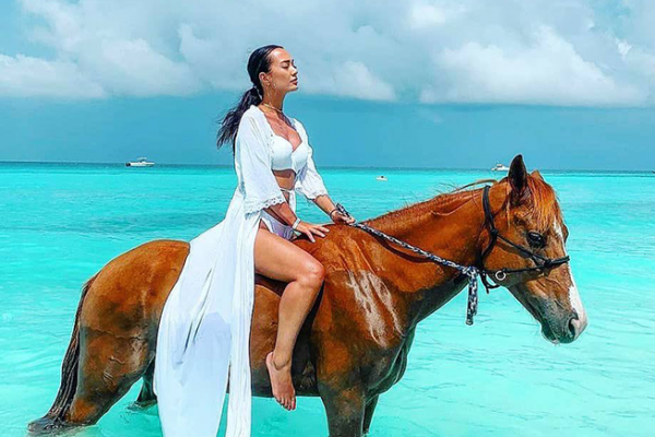 Horse Rinding