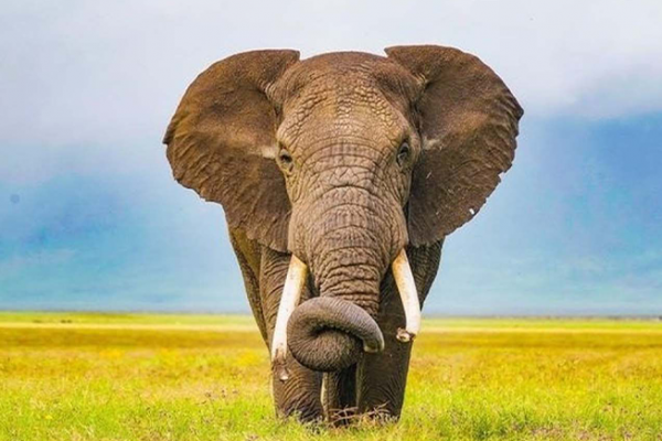 Serengeti National Park